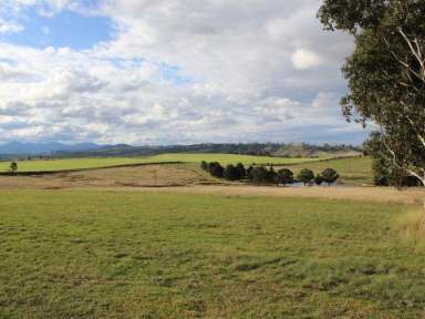 Farm Sold - NSW - Bega - 2550 - OLD AD - SMALL FARM - 10 MINUTES TO BEGA  (Image 2)