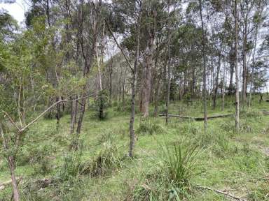 Farm Sold - NSW - Brogo - 2550 - VACANT LAND BROGO  (Image 2)