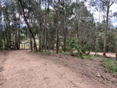 Farm Sold - NSW - Brogo - 2550 - VACANT LAND BROGO  (Image 2)