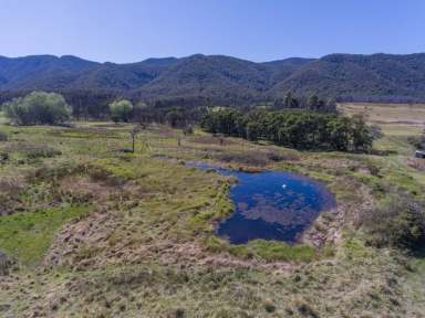 Farm Sold - NSW - Bemboka - 2550 - STUNNING BLOCK READY TO BUILD ON  (Image 2)