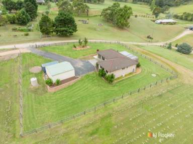 Farm Sold - NSW - Bega - 2550 - GREAT PROPERTY, CLOSE TO EVERYTHING  (Image 2)