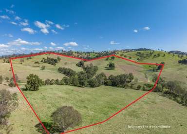 Farm Sold - NSW - Bega - 2550 - "FERNBROOK"  (Image 2)