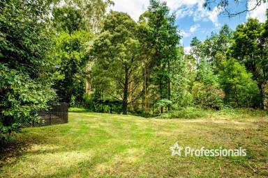 Farm Sold - VIC - Gilderoy - 3797 - AFFORDABLE COUNTRY LIVING, 1 ACRE APPROX  (Image 2)