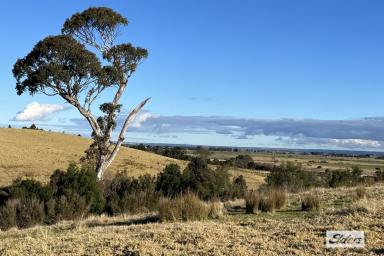 Farm For Sale - VIC - Stratford - 3862 - Farmland with a ton of potential  (Image 2)