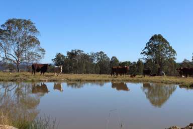 Farm For Sale - NSW - Tunglebung - 2469 - Endless Rural Opportunity  (Image 2)