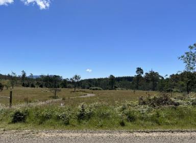 Farm Sold - TAS - Tayene - 7259 - Mountain magic, 27 acres, cleared flat areas, water, bush and ferns.  (Image 2)