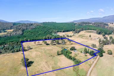 Farm For Sale - TAS - Ellendale - 7140 - Welcome to Paradise  (Image 2)