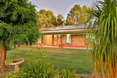 Farm Sold - VIC - Irymple - 3498 - Grand Family Residence  (Image 2)