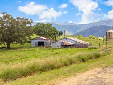 Farm Sold - QLD - Conondale - 4552 - 237 ACRES  - PRIME GRAZING - IRRIGATION  (Image 2)