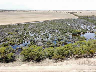 Farm Sold - WA - Narembeen - 6369 - SOLD VIA OPENN NEGOTIATION - MORE PROPERTIES NEEDED  (Image 2)