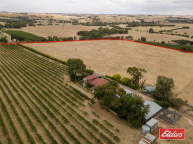 Farm Sold - SA - Rosedale - 5350 - UNDER CONTRACT BY JEFF LIND  (Image 2)
