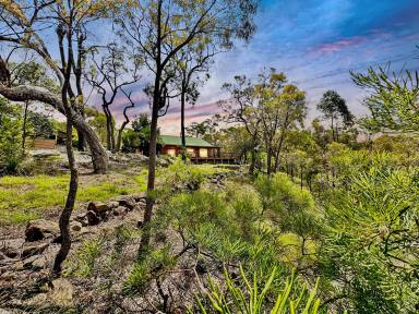 Farm Sold - NSW - Bucketty - 2250 - 'Aldos' A Ridgetop Manor  (Image 2)