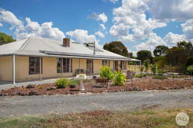 Farm Sold - VIC - Ross Creek - 3351 - Equine Lifestyle Property On 20 Cleared Acres  (Image 2)