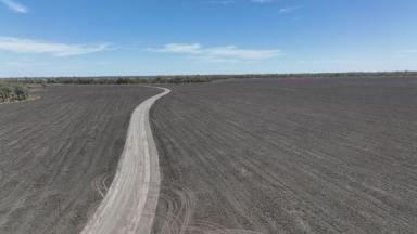 Farm For Sale - NSW - Boomi - 2405 - Boronga, Boomi,  (Image 2)