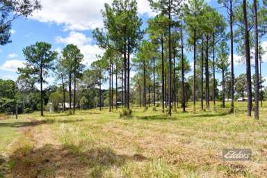 Farm Sold - QLD - Glenwood - 4570 - UP HIGH AND DRY WITH ESCARPMENT VIEWS  (Image 2)