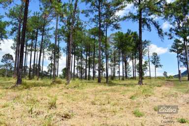 Farm Sold - QLD - Glenwood - 4570 - UP HIGH AND DRY WITH ESCARPMENT VIEWS  (Image 2)