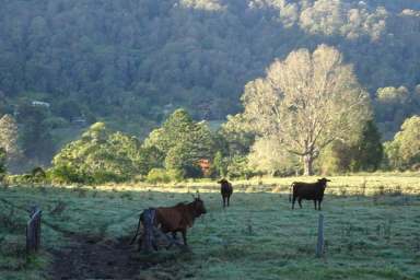 Farm Sold - NSW - Larnook - 2480 - Far From The Madding Crowds! (but close to everything)...  (Image 2)