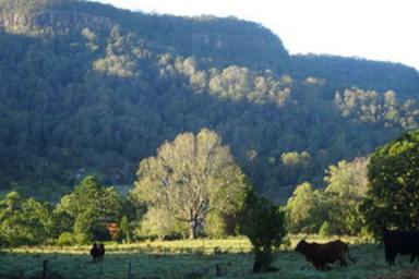 Farm Sold - NSW - Larnook - 2480 - Far From The Madding Crowds! (but close to everything)...  (Image 2)