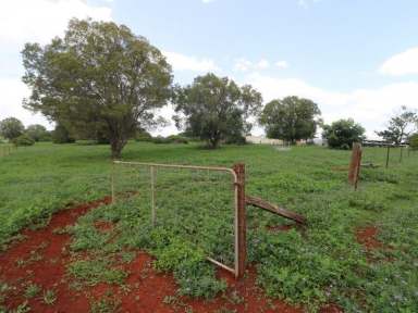 Farm For Sale - QLD - Childers - 4660 - 32 ACRE DEVELOPMENT BLOCK NEXT TO SCHOOL  (Image 2)