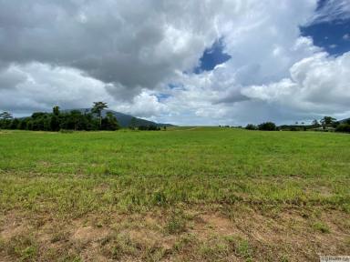 Farm Sold - QLD - Tully - 4854 - NEW SUBDIVISION – FOR SALE BY EXPRESSION OF INTEREST  (Image 2)