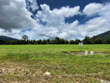 Farm For Sale - QLD - Tully - 4854 - NEW SUBDIVISION – FOR SALE BY EXPRESSION OF INTEREST  (Image 2)