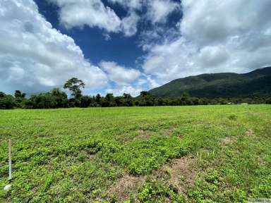 Farm Sold - QLD - Tully - 4854 - NEW SUBDIVISION – FOR SALE BY EXPRESSION OF INTEREST  (Image 2)