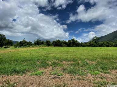 Farm Sold - QLD - Tully - 4854 - NEW SUBDIVISION – FOR SALE BY EXPRESSION OF INTEREST  (Image 2)