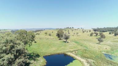 Farm Sold - NSW - Euchareena - 2866 - The Perfect Blend of Productive, Private and Picturesque  (Image 2)