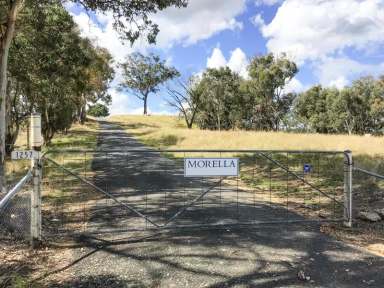 Farm Sold - NSW - Euchareena - 2866 - The Perfect Blend of Productive, Private and Picturesque  (Image 2)