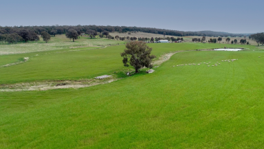 Farm For Sale - NSW - Molong - 2866 - Position, Privacy, Tranquility  (Image 2)