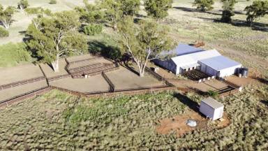 Farm Sold - NSW - Nyngan - 2825 - Impressive Acreage Ideally Suited For Cropping, Sheep or Cattle  (Image 2)