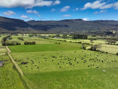 Farm Sold - TAS - Caveside - 7304 - "Watery Plains" highly productive dairy farm with extensive infrastructure  (Image 2)
