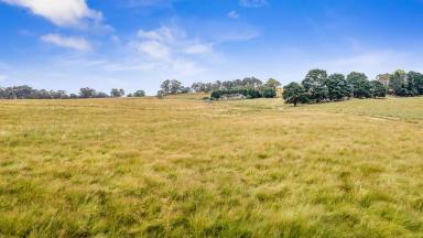 Farm Sold - NSW - Oberon - 2787 - HIDDEN
VIEW
14.93 Ha or 36.89 Acres*  (Image 2)