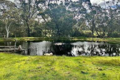 Farm Sold - WA - Mount Barker - 6324 - Warburton Rd, Mount Barker  (Image 2)