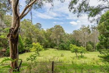 Farm Sold - QLD - Hunchy - 4555 - Rare Vacant Land  (Image 2)