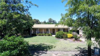 Farm Sold - VIC - Numurkah - 3636 - ROOM TO MOVE  (Image 2)