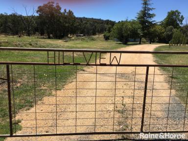 Farm Sold - NSW - Grenfell - 2810 - "Hillview" 5272 Mid Western Highway Grenfell  (Image 2)