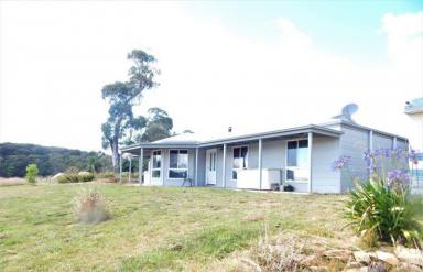 Farm For Sale - NSW - Kybeyan - 2631 - 190 Acres with House/Sheds & Privacy  (Image 2)