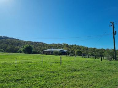 Farm For Sale - nsw - Scone - 2337 - 250 Acres, Can Be Sub-Divided  (Image 2)