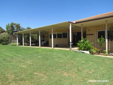 Farm Sold - WA - Greenough - 6532 - A Great Opportunity in Greenough  (Image 2)