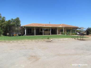 Farm Sold - WA - Greenough - 6532 - A Great Opportunity in Greenough  (Image 2)