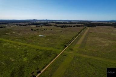 Farm For Sale - NSW - Gunnedah - 2380 - VERSATILE MIXED ARABLE AND GRAZING PROPERTY  (Image 2)