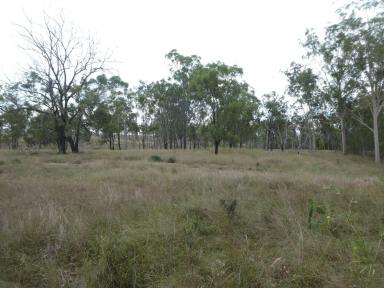 Farm Sold - QLD - Didcot - 4621 - GREAT STARTER BLOCK OR LIFESTYLE  (Image 2)