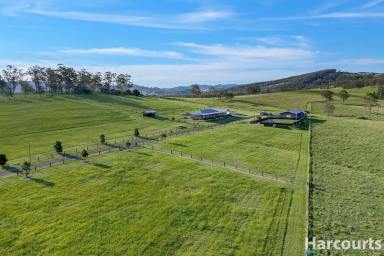 Farm Sold - NSW - Wallarobba - 2420 - Stunning Rural Lifestyle Property Makes The Perfect Family Hobby Farm  (Image 2)