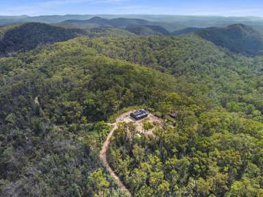 Farm Sold - NSW - Laguna - 2325 - 'Monkeys Rest'  (Image 2)