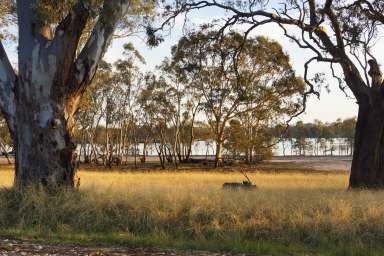 Farm Sold - VIC - Toolondo - 3401 - On the Banks of Lake Toolondo  (Image 2)