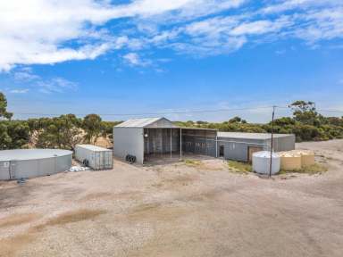 Farm Sold - SA - Foul Bay - 5577 - "Baker's" - FOR SALE  (Image 2)