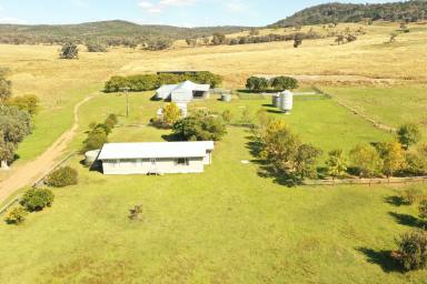 Farm For Sale - NSW - Koorawatha - 2807 - Get Your Start Right Here  (Image 2)