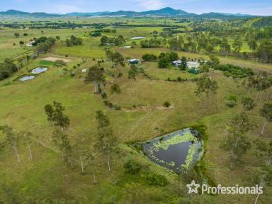 Farm Sold - QLD - Lower Wonga - 4570 - Picturesque Lifestyle Awaits You!  (Image 2)