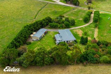 Farm Sold - VIC - Calrossie - 3971 - COUNTRY HAMPTON HOME ON 5 ACRES  (Image 2)